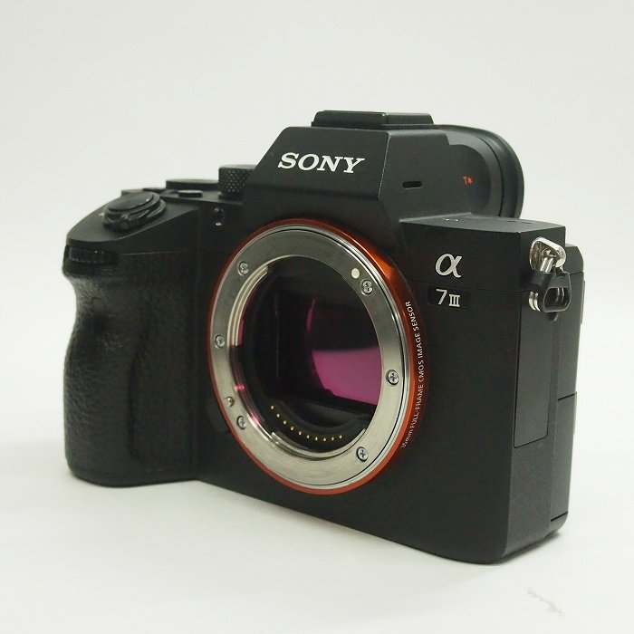 �y���Áz(�\�j�[) SONY ��7III(ILCE-7M3) �{�f�B