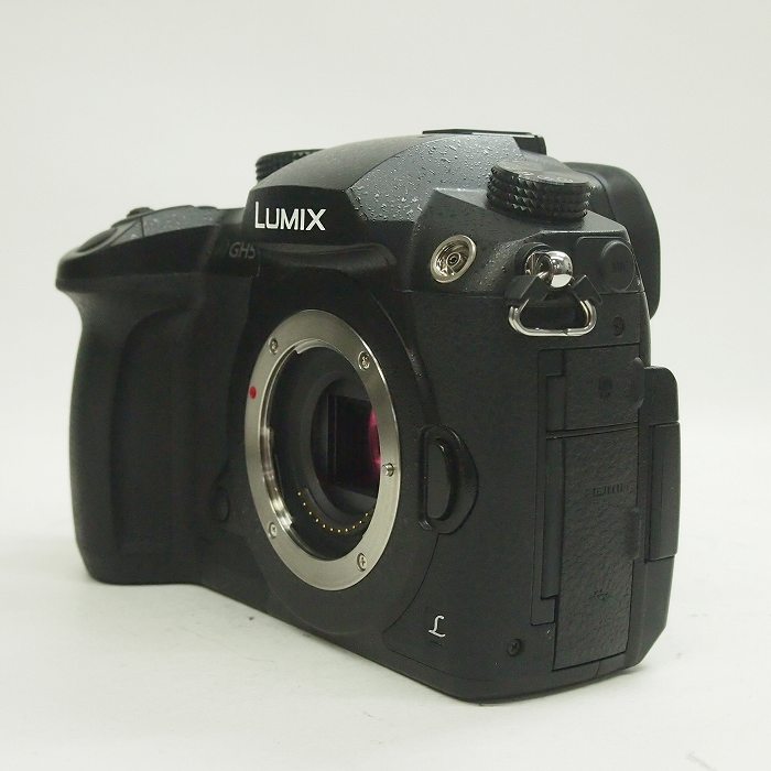 買取】パナソニック LUMIX DC-GH5-K ボディ | ナニワグループ