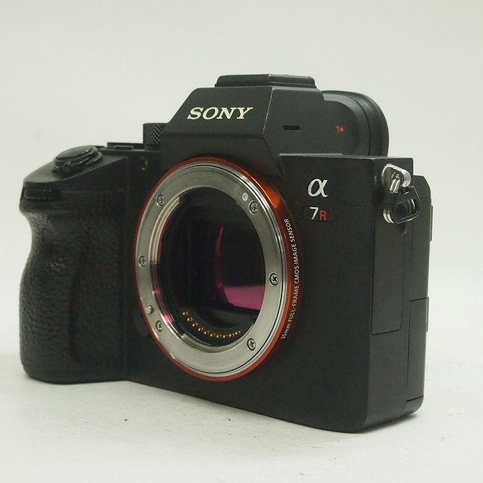 �y���Áz(�\�j�[) SONY ��7RIII(ILCE-7RM3) �{�f�B (�C�O���f��)