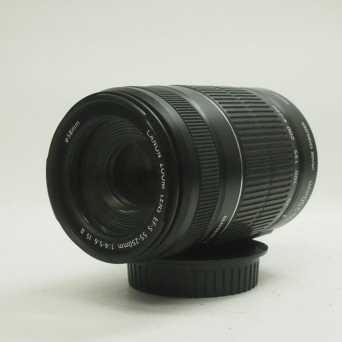 �y���Áz(�L���m��) Canon EF-S55-250/F4-5.6 IS II