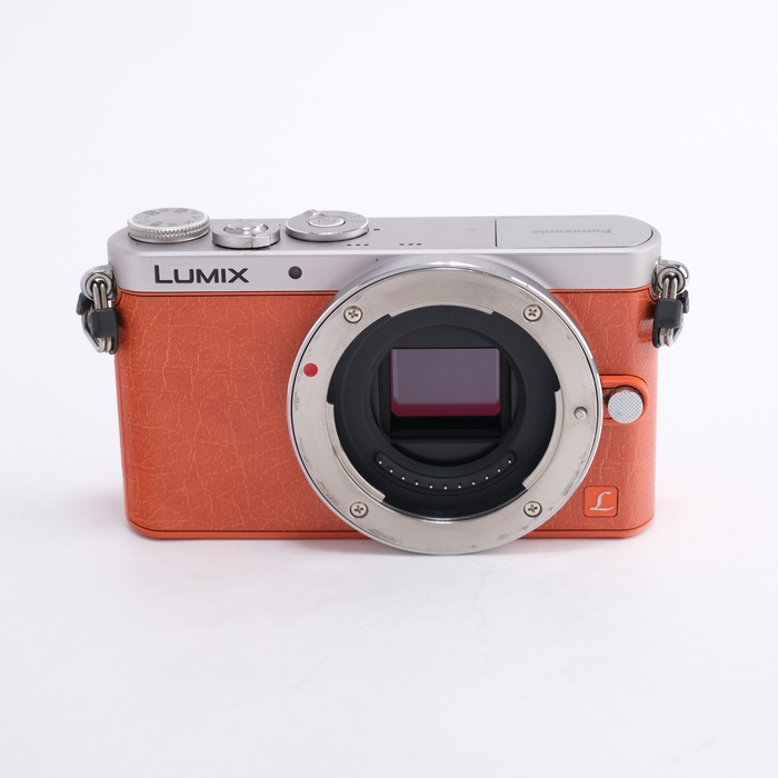 �y���Áz(�p�i�\�j�b�N) Panasonic DMC-GM1
