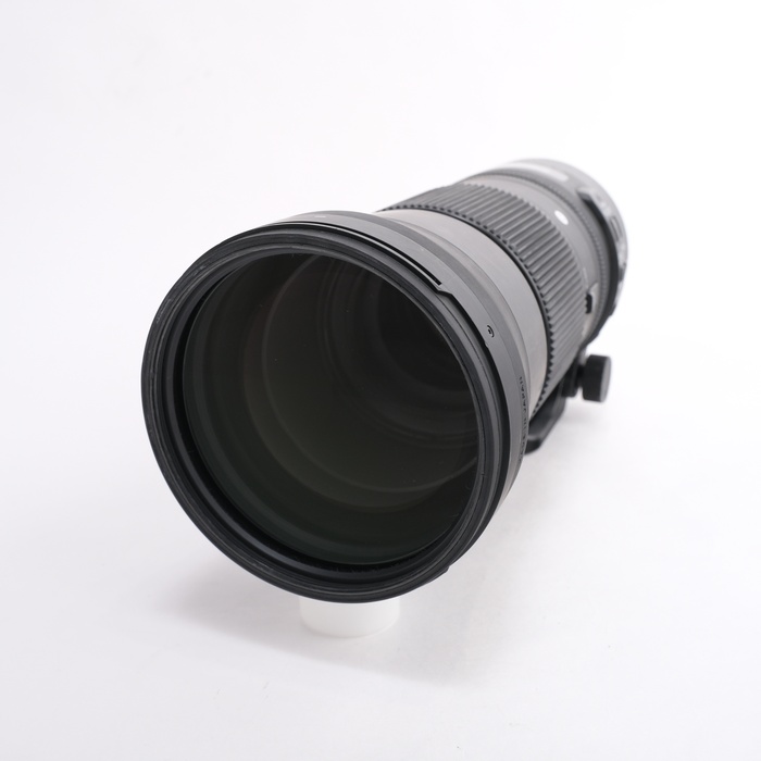 �y���Áz(�V�O�}) SIGMA 150-600/5-6.3 DG OS HSM CONTEMPORARY EF�}�E���g�p