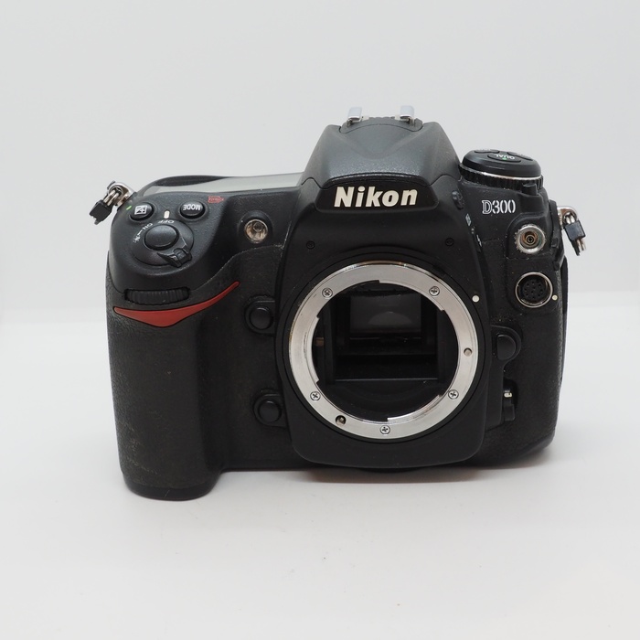 �y���Áz(�j�R��) Nikon D300 �{�f�C