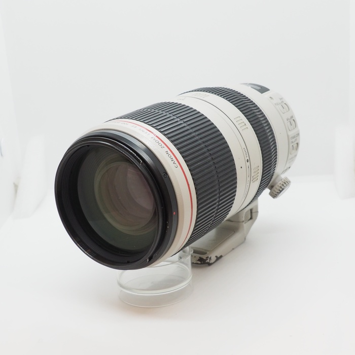 �y���Áz(�L���m��) Canon �L���m�� EF100-400/F4.5-5.6L IS II USM