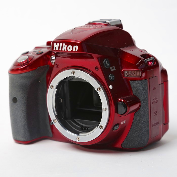 �y���Áz(�j�R��) Nikon D5300 �{�f�C ���b�h