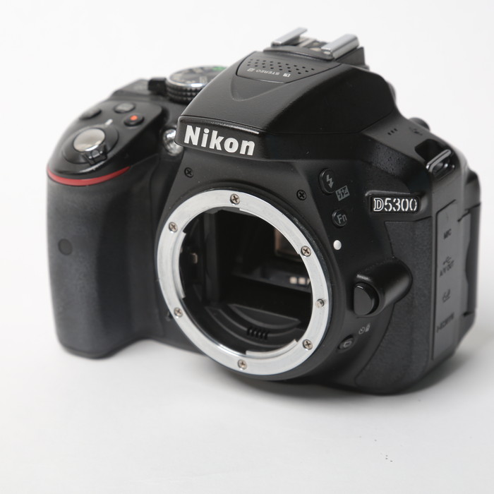 �y���Áz(�j�R��) Nikon D5300 �{�f�C