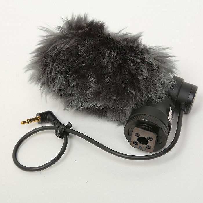 �y���Áz(�L���m��) Canon DM-E100 �X�e���I�}�C�N���z��