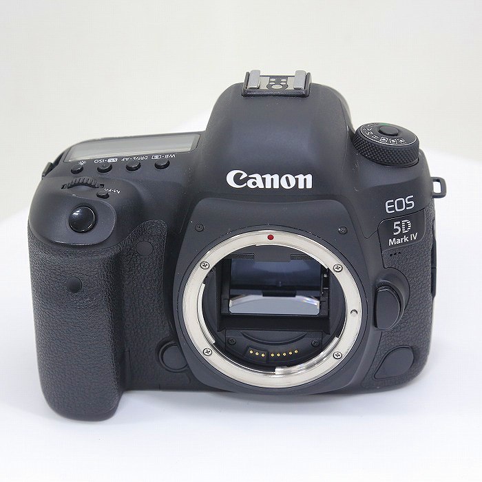 �y���Áz(�L���m��) Canon EOS 5D MARK4 �{�f�C