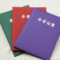 (�t����)FURUYA ���Ə؏��t�@�C��/�R�F�Z�b�gSP-0103