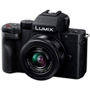 (パナソニック) Panasonic LUMIX DC-G100DK 標準ズームレンズキット