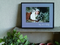 (�R���{�k�[�N)collabonook �t�H�g�p�l�� �j������-�R�e�B �u���b�N