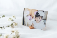 (�R���{�k�[�N)collabonook �J���[�X�^���h ����� 5×7 �I�����W