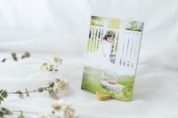 (�R���{�k�[�N)collabonook �J���[�X�^���h ����� 5×7 �C�G���[