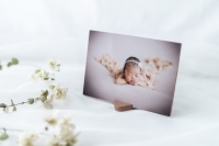 (�R���{�k�[�N)collabonook �J���[�X�^���h ����� 5×7 �u���E��