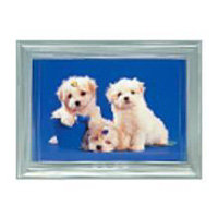 (�t�W�J���[)FUJICOLOR L �J���[�t���[�� �N���A