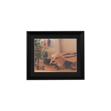 (�i�J�o���V) Nakabayashi �������ʐ^�z �Z�؃T�C�Y �y�u���b�N�zF-SP-108-D