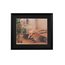 (�i�J�o���V) Nakabayashi �������ʐ^�z �l�؃T�C�Y �y�u���b�N�zF-SP-111-D