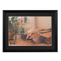 (�i�J�o���V) Nakabayashi �������ʐ^�z �`�R�T�C�Y �y�u���b�N�zF-SP-113-D