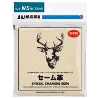 (�n�N�o)HAKUBA �@�����E�����p�����N���X �Z�[���v MS