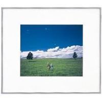 (�t�W�J���[)FUJICOLOR ���C�h�} �b�g�t���[�� A5010 A3 �V���o�[ �A�N����