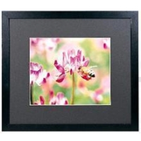 (�t�W�J���[)FUJICOLOR ���C�h�} �b�g�t���[��M3000 ���C�h4��