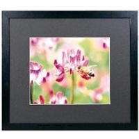 (�t�W�J���[)FUJICOLOR ���C�h�} �b�g�t���[��M3000 �`3�m�r