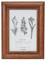 (�t�W�J���[)FUJICOLOR �ؐ��t�H�g�X�^���h 4222L �u���E�� L�T�C�Y