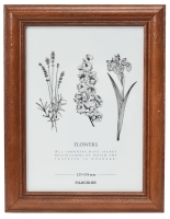 (�t�W�J���[)FUJICOLOR �ؐ��t�H�g�X�^���h 4422K �u���E�� 2L�T�C�Y