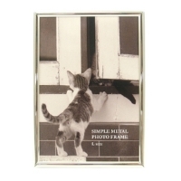 (�t�W�J���[)FUJICOLOR �t�H�g�X�^���h 1202L �V���o�[