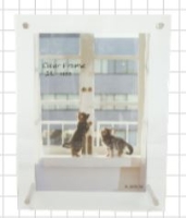 (�t�W�J���[)FUJICOLOR �A�N�����t���[�� 2L