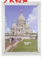 (�t�W�J���[)FUJICOLOR �A�N�����t���[�� A4