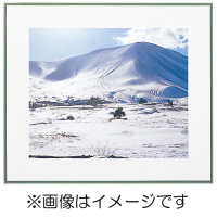 (�t�W�J���[)FUJICOLOR �}�b�g�p�l��WPII 4��