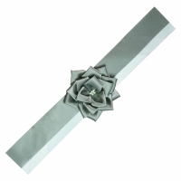 (�t�W�J���[)FUJICOLOR �ё��z�����{�� �O���[