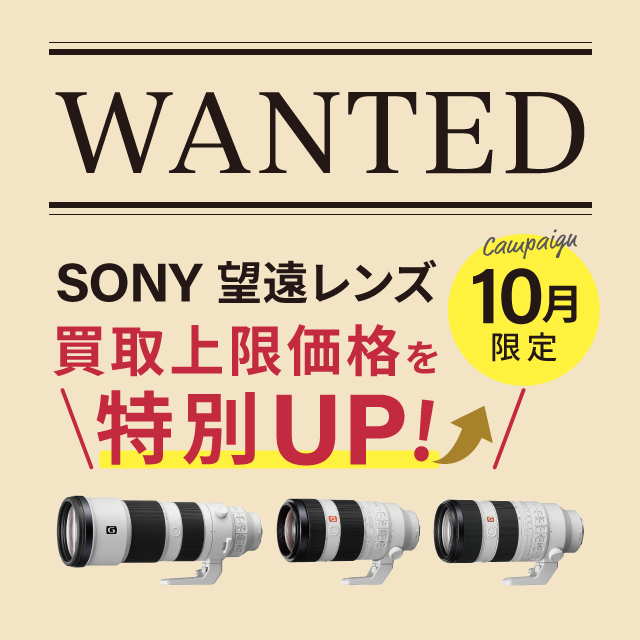 10���x���拭��WANTED