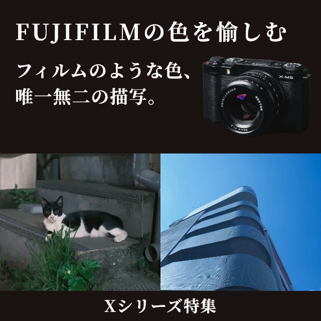 デジカメ　まとめ売り　6台 Mamiya RZ67 6×6 Film-Holder | CameRadiPC