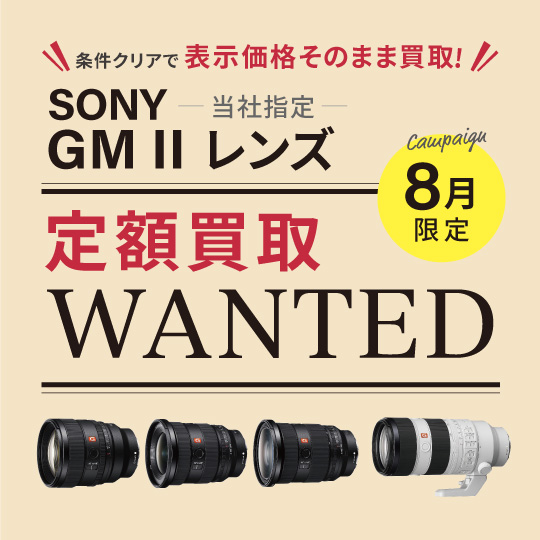 ��z����WANTED